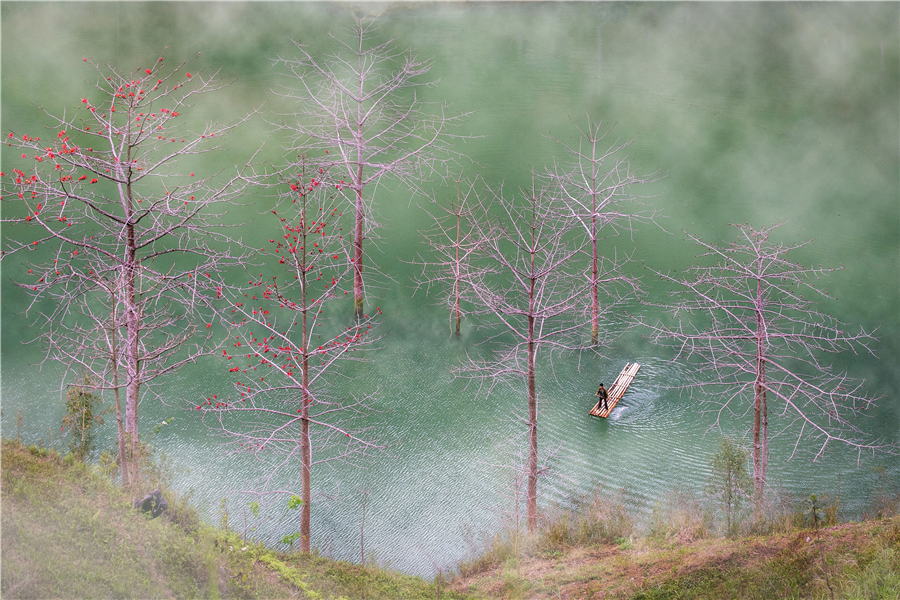 1210Bộ Tiêu chí Giải Phát triển bền vững 2024