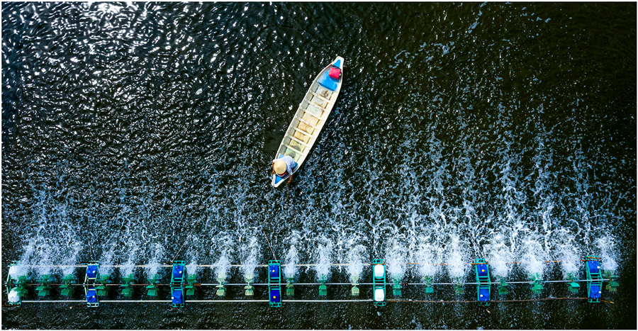 1811Công bố các doanh nghiệp vào chung khảo cuộc bình chọn doanh nghiệp niêm yết năm 2024